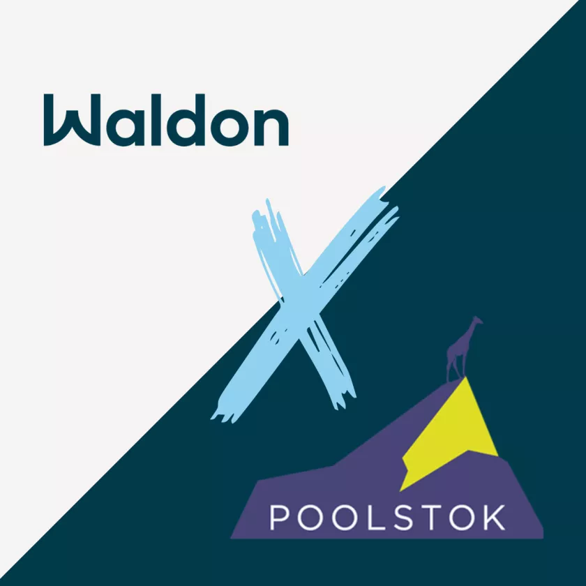 Waldon x Poolstok